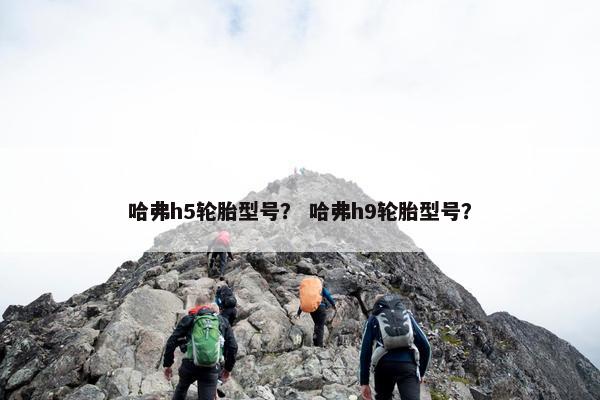 哈弗h5轮胎型号？ 哈弗h9轮胎型号？