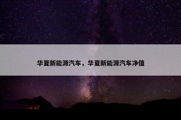 华夏新能源汽车，华夏新能源汽车净值