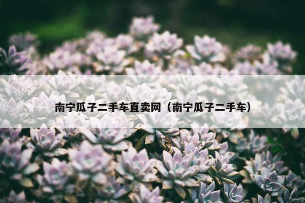 南宁瓜子二手车直卖网（南宁瓜子二手车）