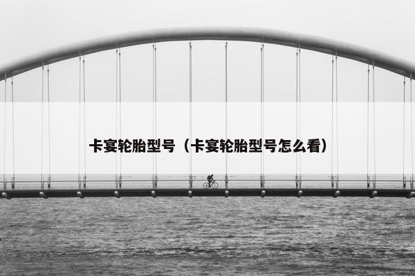 卡宴轮胎型号（卡宴轮胎型号怎么看）