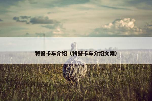 特警卡车介绍（特警卡车介绍文案）