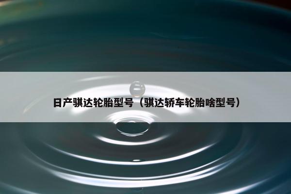 日产骐达轮胎型号（骐达轿车轮胎啥型号）