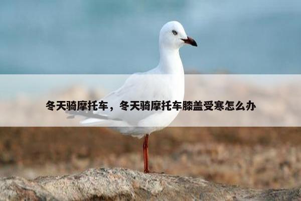 冬天骑摩托车，冬天骑摩托车膝盖受寒怎么办
