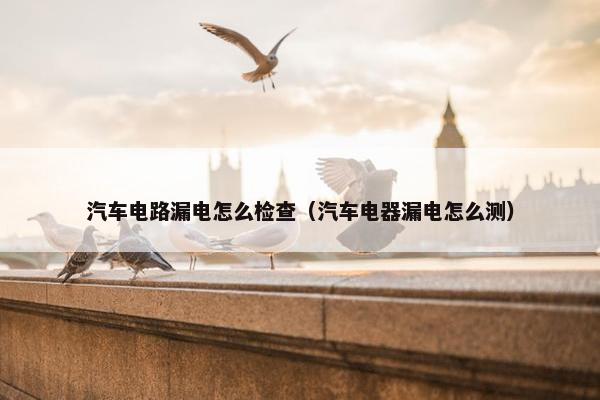 汽车电路漏电怎么检查（汽车电器漏电怎么测）