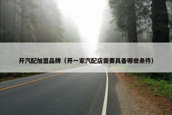 开汽配加盟品牌（开一家汽配店需要具备哪些条件）