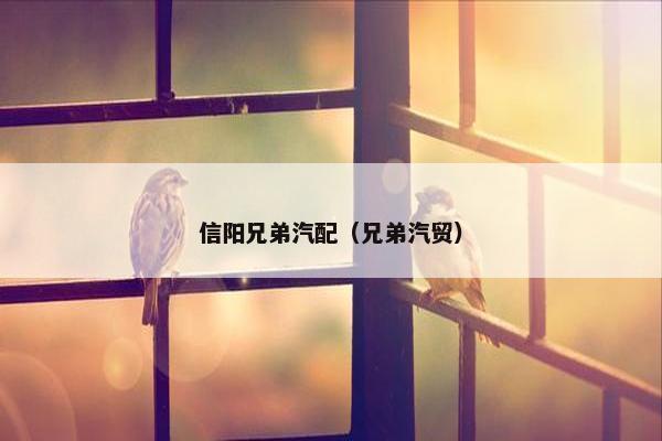 信阳兄弟汽配（兄弟汽贸）