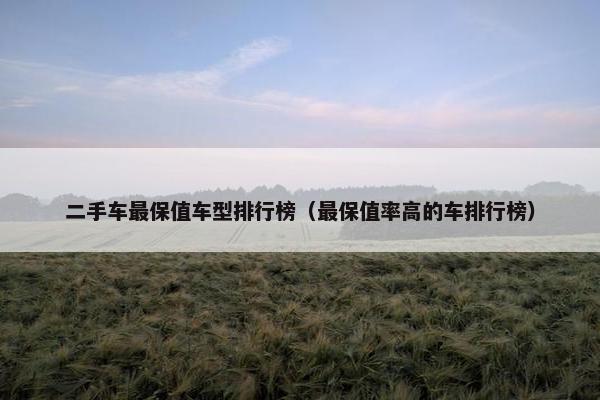 二手车最保值车型排行榜（最保值率高的车排行榜）