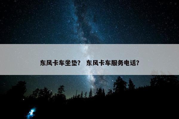 东风卡车坐垫？ 东风卡车服务电话？