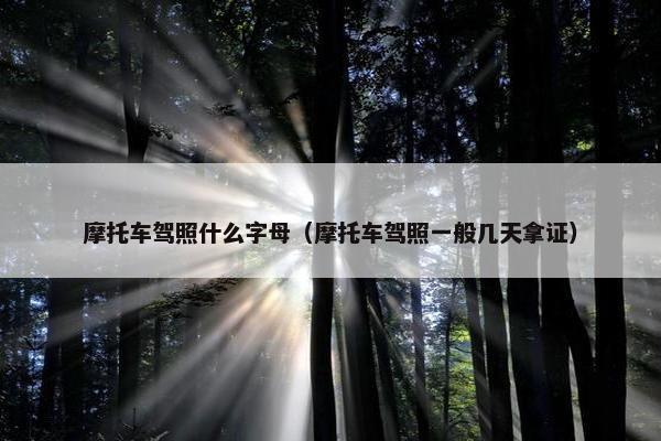 摩托车驾照什么字母（摩托车驾照一般几天拿证）