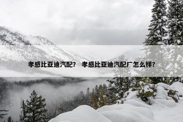 孝感比亚迪汽配？ 孝感比亚迪汽配厂怎么样？