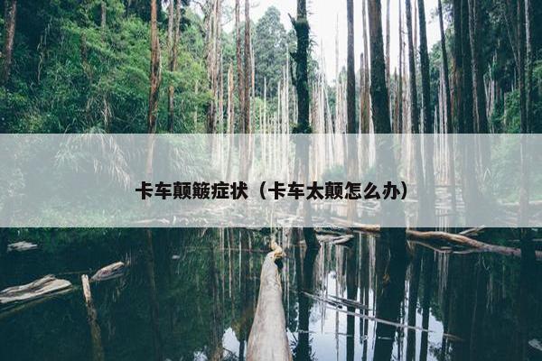 卡车颠簸症状（卡车太颠怎么办）