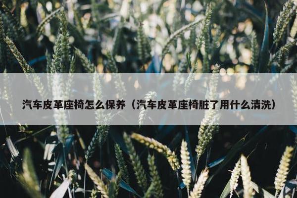 汽车皮革座椅怎么保养（汽车皮革座椅脏了用什么清洗）