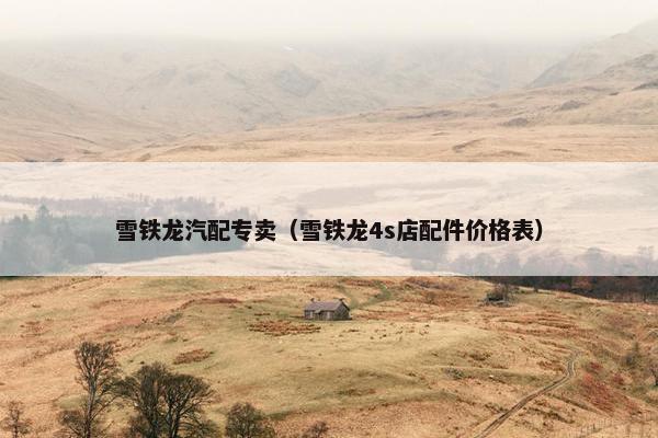 雪铁龙汽配专卖（雪铁龙4s店配件价格表）