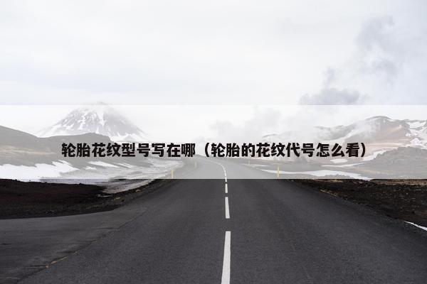 轮胎花纹型号写在哪（轮胎的花纹代号怎么看）