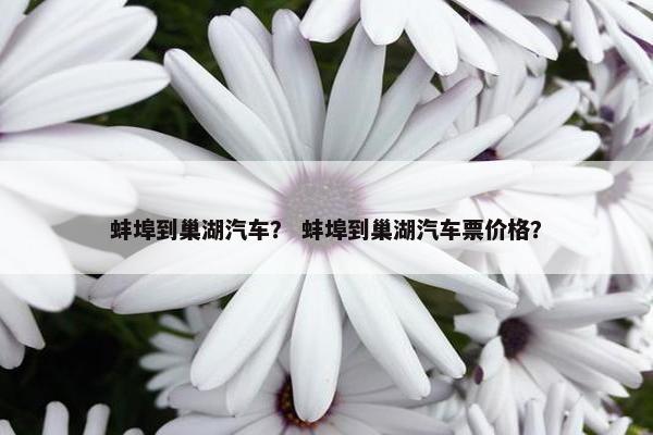 蚌埠到巢湖汽车？ 蚌埠到巢湖汽车票价格？