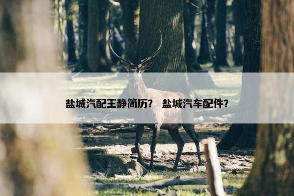 盐城汽配王静简历？ 盐城汽车配件？