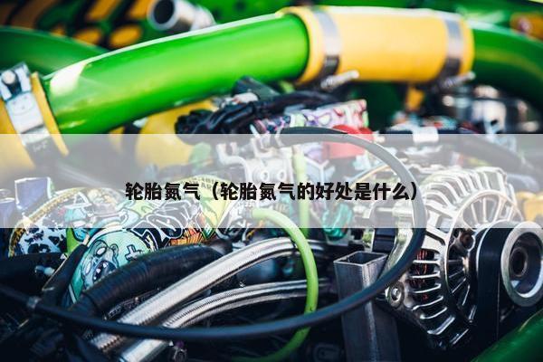 轮胎氮气（轮胎氮气的好处是什么）