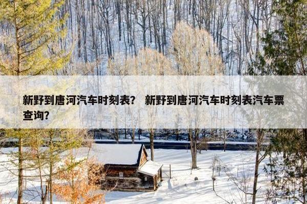 新野到唐河汽车时刻表？ 新野到唐河汽车时刻表汽车票查询？