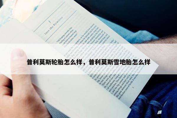 普利莫斯轮胎怎么样，普利莫斯雪地胎怎么样