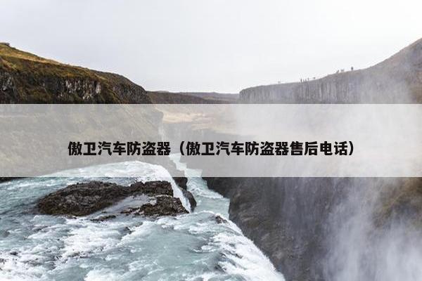 傲卫汽车防盗器（傲卫汽车防盗器售后电话）