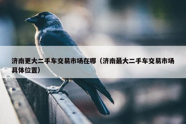 济南更大二手车交易市场在哪（济南最大二手车交易市场具体位置）