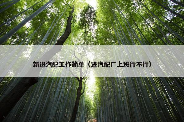 新进汽配工作简单（进汽配厂上班行不行）