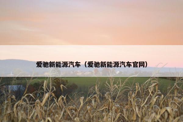 爱驰新能源汽车（爱驰新能源汽车官网）