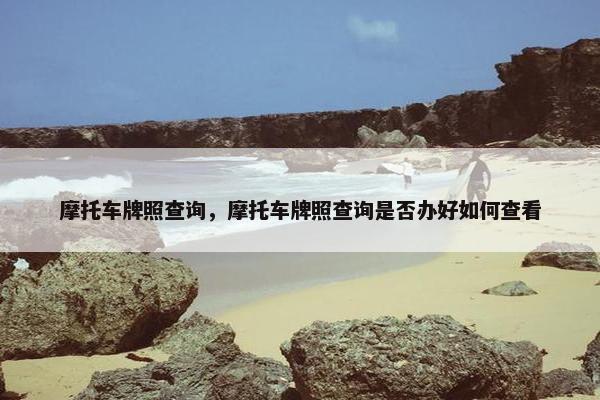 摩托车牌照查询，摩托车牌照查询是否办好如何查看