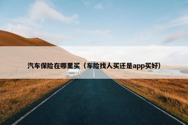汽车保险在哪里买（车险找人买还是app买好）