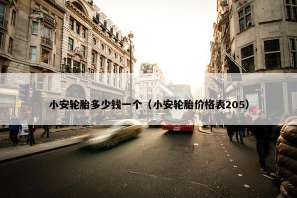 小安轮胎多少钱一个（小安轮胎价格表205）