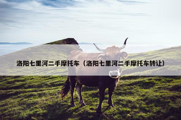 洛阳七里河二手摩托车（洛阳七里河二手摩托车转让）