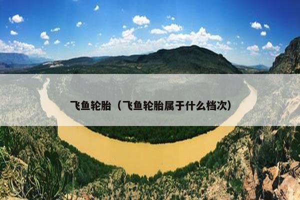 飞鱼轮胎（飞鱼轮胎属于什么档次）