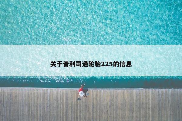 关于普利司通轮胎225的信息