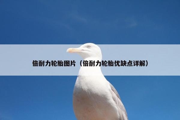 倍耐力轮胎图片（倍耐力轮胎优缺点详解）