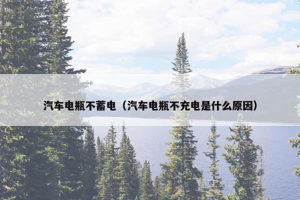 汽车电瓶不蓄电（汽车电瓶不充电是什么原因）