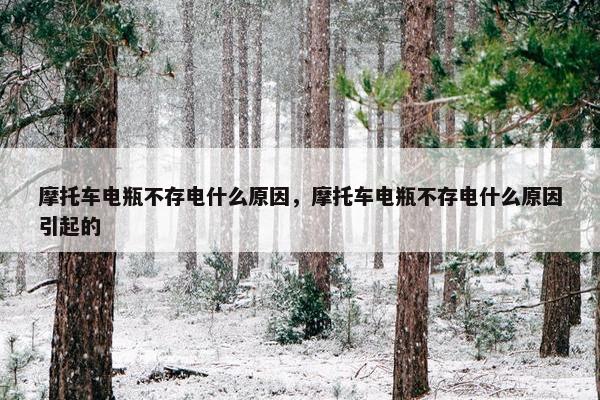 摩托车电瓶不存电什么原因，摩托车电瓶不存电什么原因引起的