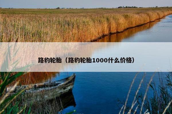路豹轮胎（路豹轮胎1000什么价格）