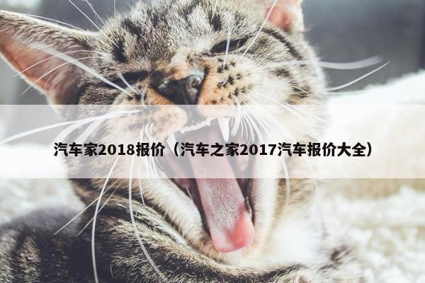 汽车家2018报价（汽车之家2017汽车报价大全）