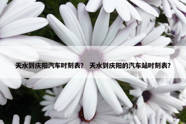 天水到庆阳汽车时刻表？ 天水到庆阳的汽车站时刻表？