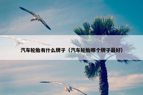 汽车轮胎有什么牌子（汽车轮胎哪个牌子最好）