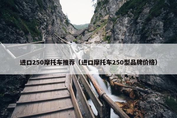 进口250摩托车推荐（进口摩托车250型品牌价格）
