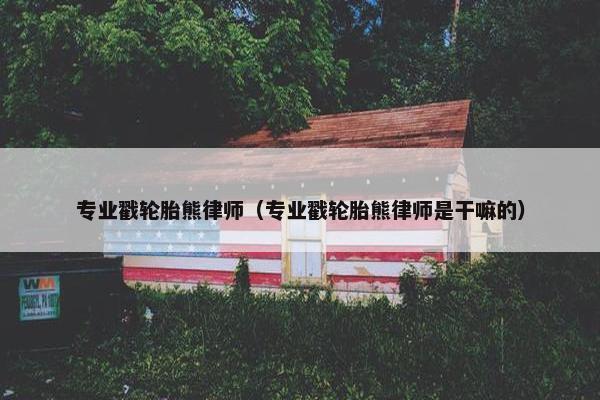 专业戳轮胎熊律师（专业戳轮胎熊律师是干嘛的）