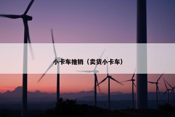 小卡车推销（卖货小卡车）