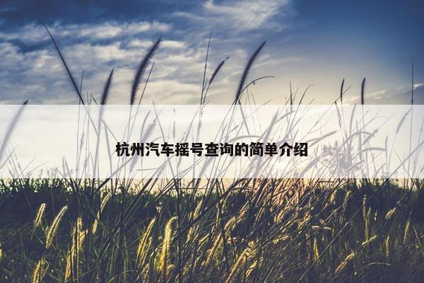 杭州汽车摇号查询的简单介绍