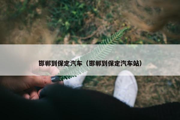 邯郸到保定汽车（邯郸到保定汽车站）