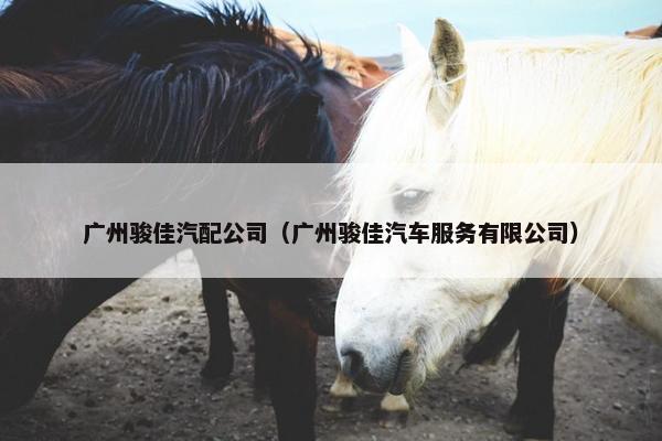 广州骏佳汽配公司（广州骏佳汽车服务有限公司）