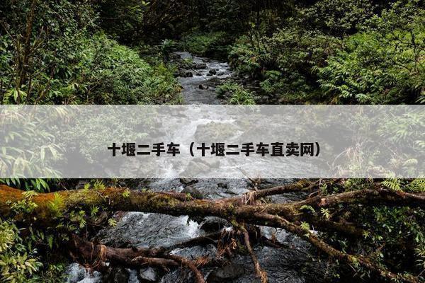 十堰二手车（十堰二手车直卖网）