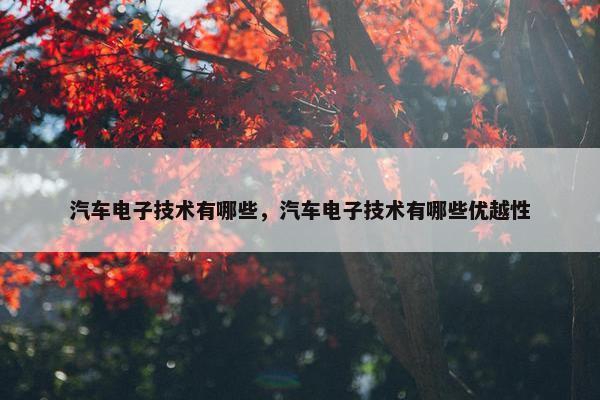 汽车电子技术有哪些，汽车电子技术有哪些优越性