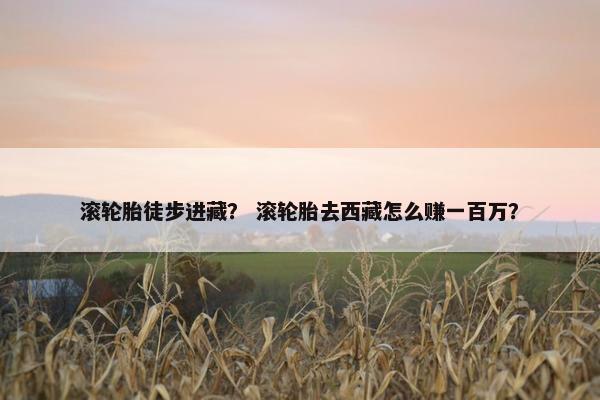 滚轮胎徒步进藏？ 滚轮胎去西藏怎么赚一百万？