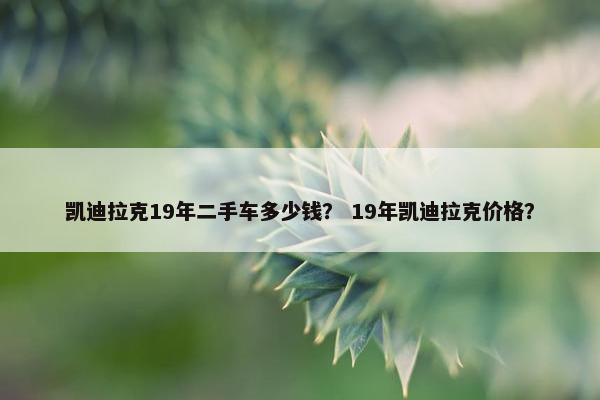 凯迪拉克19年二手车多少钱？ 19年凯迪拉克价格？